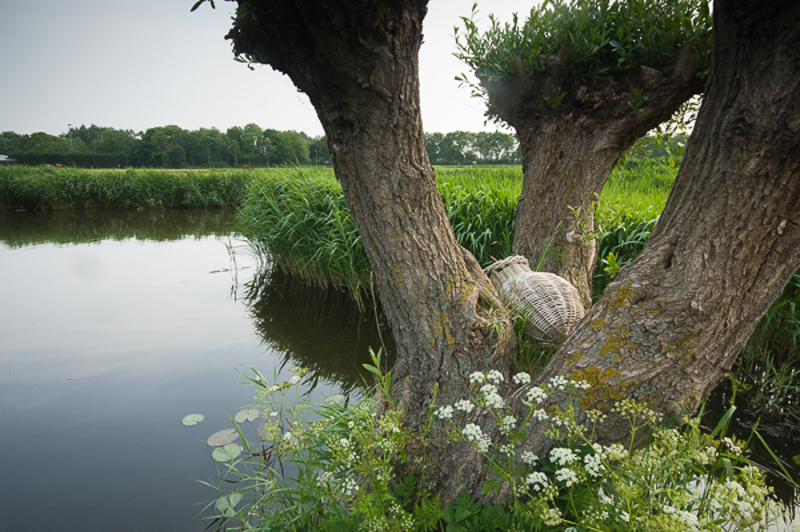 Hempolder